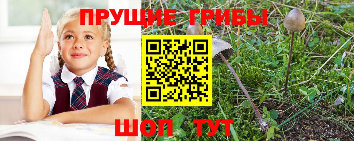 Псилоцибиновые грибы ЛСД  Вход с VPN  Киреевск  Галлюциногенные грибы Cubensis 